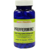 Pfefferminz 450mg GPH Kapseln, 90 ST – PZN 6922901