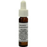 Pulsatilla LM6, 9 ML – PZN 9054701