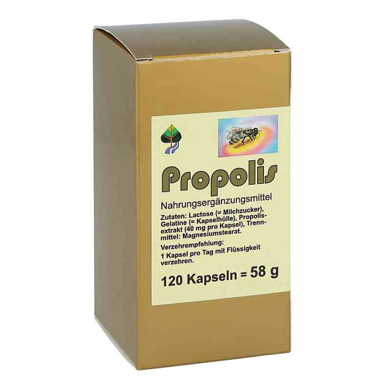 Propolis Kapseln (120 stk) – PZN 4848