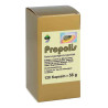 Propolis Kapseln (120 stk) – PZN 4848