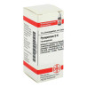 Pyrogenium D 6 Globuli (10 g) – PZN 4233511