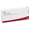 Petasites Comp. Ampullen (10X1 ml) – PZN 1751895