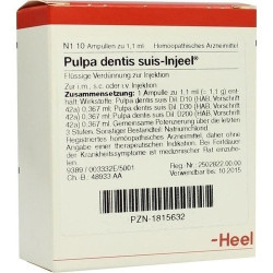 PULPA DENTI SUIS INJ ORG, 10 ST – PZN 1815632