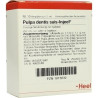 PULPA DENTI SUIS INJ ORG, 10 ST – PZN 1815632
