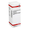 Petasites D 6 Dilution (50 ml) – PZN 7176831