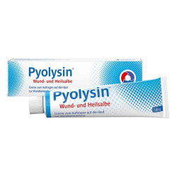 Pyolysin Wund- und Heilsalbe (100 g) – PZN 13725928