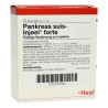 Pankreas Suis Injeel forte Ampullen (10 stk) – PZN 762365