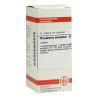 Phosphorus Amorph. D 30 Tabletten (80 stk) – PZN 2104212