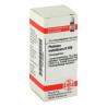 Platinum Met. D 200 Globuli (10 g) – PZN 2929384