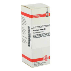Plantago Major D 3 Dilution (20 ml) – PZN 2929295