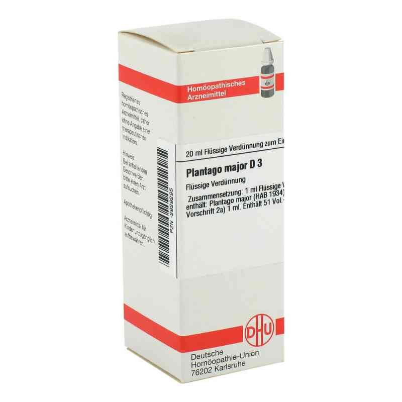 Plantago Major D 3 Dilution (20 ml) – PZN 2929295