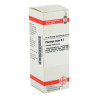 Plantago Major D 3 Dilution (20 ml) – PZN 2929295