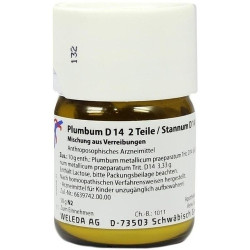 PLUMBUM D14 2T STA D14 1T, 50 G – PZN 2595807