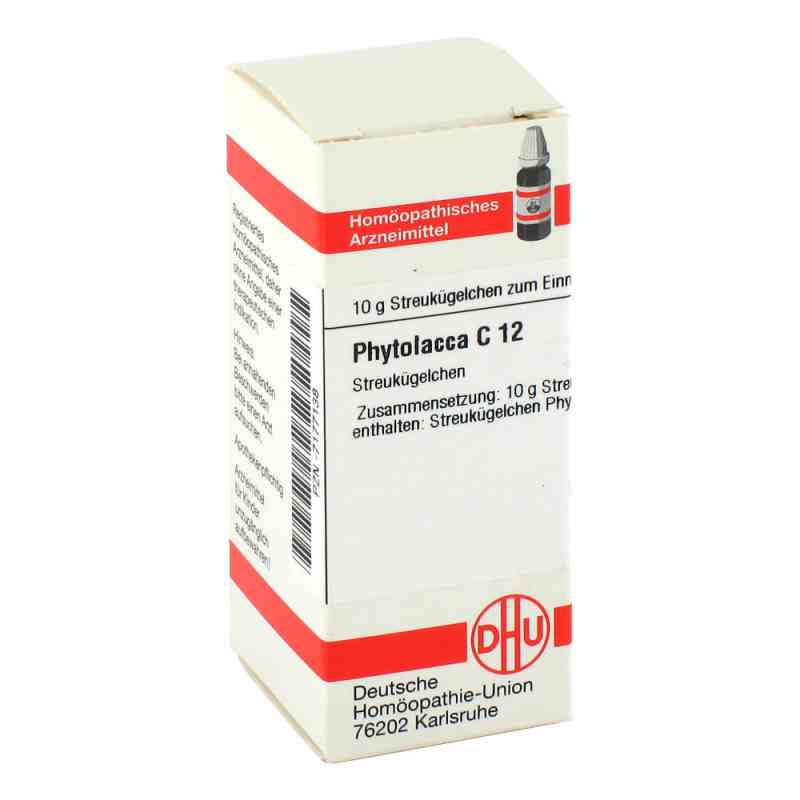 Phytolacca C 12 Globuli (10 g) – PZN 7177138