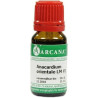 ANACARDIUM ORIENTALE LM 6, 10 ML – PZN 7539067