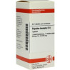 Populus Tremula D 4 Tabletten (80 stk) – PZN 7177925