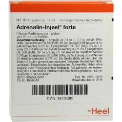 ADRENALIN INJ FORTE HOM AL, 10 ST – PZN 1813389