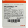 ADRENALIN INJ FORTE HOM AL, 10 ST – PZN 1813389