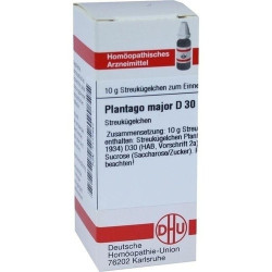 PLANTAGO MAJOR D30, 10 G – PZN 7177457