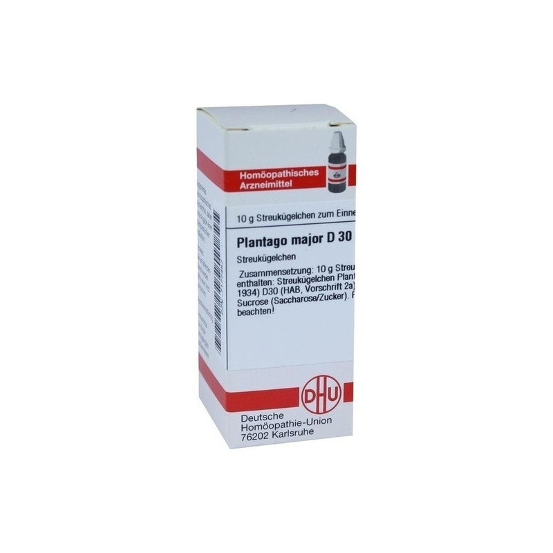 PLANTAGO MAJOR D30, 10 G – PZN 7177457