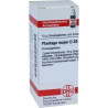 PLANTAGO MAJOR D30, 10 G – PZN 7177457