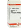 PHYTOLACCA D30, 80 ST – PZN 4231914