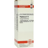 Phytolacca C 6 Dilution (20 ml) – PZN 7177173