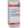 Panax Ginseng D 12 Globuli (10 g) – PZN 7249033
