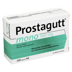 Prostagutt mono (120 stk) – PZN 4976465