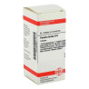 Pareira Brava D 6 Tabletten (80 stk) – PZN 2634625
