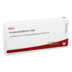 Periodontium/ Silicea Comp. Ampullen (10X1 ml) – PZN 2086394