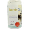 PROTEIN 75 VANILLE, 500 G – PZN 1498700