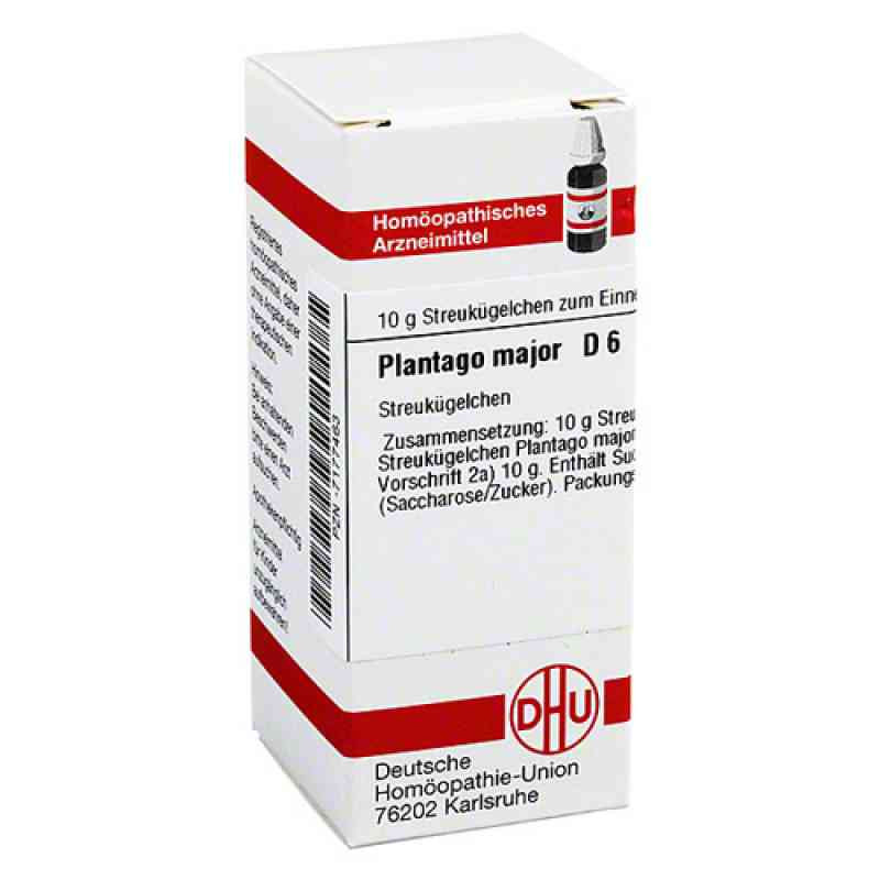 Plantago Major D 6 Globuli (10 g) – PZN 7177463