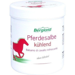 Pferdesalbe kühlend, 300 ML – PZN 4709155