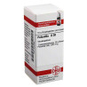 Pulsatilla D 30 Globuli (10 g) – PZN 2104465