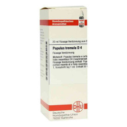 Populus Tremula D 4 Dilution (20 ml) – PZN 2122285