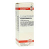 Populus Tremula D 4 Dilution (20 ml) – PZN 2122285