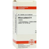 Allium Sativum D 4 Tabletten (80 stk) – PZN 2624673