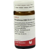 PHOSPHORUS D30, 20 G – PZN 8787034