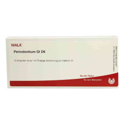Periodontium Gl D 6 Ampullen (10X1 ml) – PZN 2947005