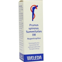 Prunus spinosa Summitates D 8, 10 ML – PZN 6698088