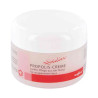 Propolis Creme Biofrid (100 g) – PZN 4255949