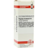 Populus Tremula D 6 Dilution (20 ml) – PZN 7177919