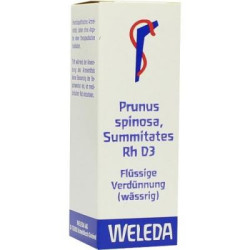 Prunus Spinosa Summitates Rh D 3 Dilution (20 ml) – PZN 1630393