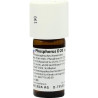 PHOSPHORUS D20, 20 ML – PZN 2435831