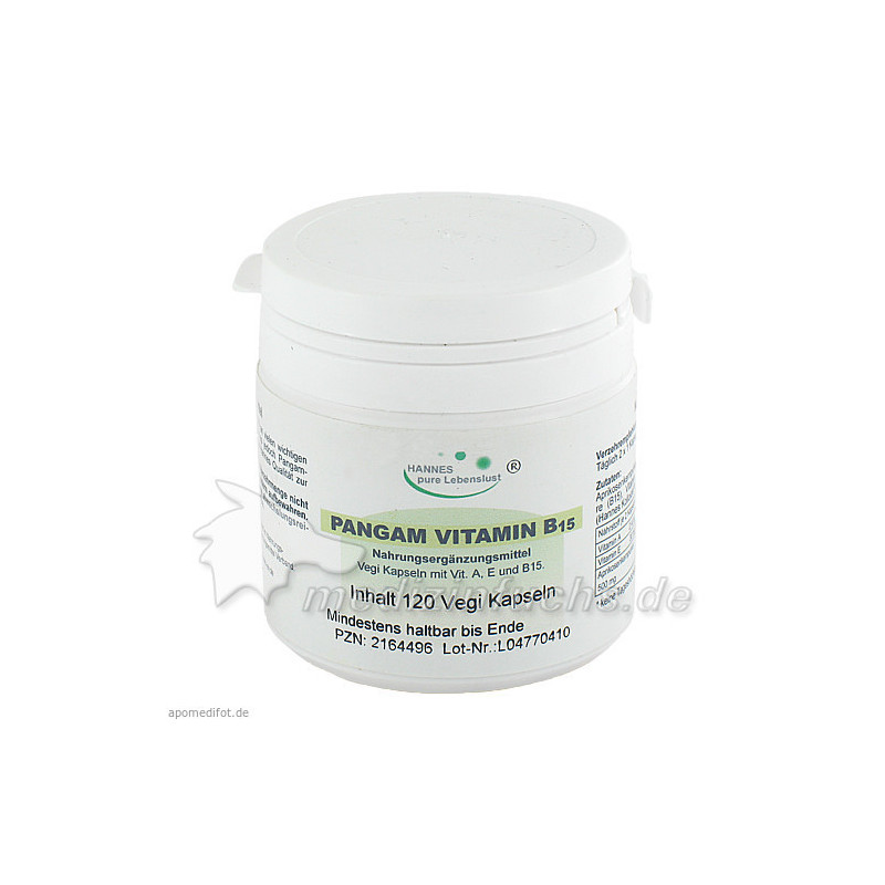 Pangam Vitamin B15, 120 ST – PZN 2164496