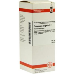 Pulmonaria Vulgaris D 2 Dilution (50 ml) – PZN 7249286