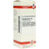 Pyrogenium D 12 Dilution (20 ml) – PZN 2104637