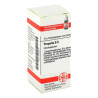 Propolis D 6 Globuli (10 g) – PZN 546087