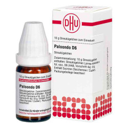 Paloondo D 6 Globuli (10 g) – PZN 6303109